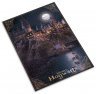 Пазл Гарри Поттер Abystyle Harry Potter Hogwarts (Гаррі Поттер)	