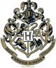 Стакан Harry Potter Hogwarts Гарри Поттер Хогвартс 290 мл