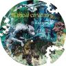 Пазл Гарри Поттер Волшебные существа Harry Potter Magical Creatures Puzzle (500 деталей)