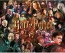 Пазл Гаррі Поттер Harry Potter Characters Movie Collage Puzzle (1000-Piece)