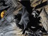 Пазл Бетмен Batman DC Comics Puzzle (1000 деталей)