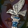 Коллекционная ручка Harry Potter Ravenclaw Pen