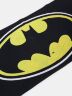 Рушник Бетмен Batman Logo Beach Towel 150 х 75 см.