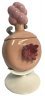 Плюмбус Солонка и Перечница Рик и Морти 8'' Plumbus 2 in 1 Salt and Pepper Shakers