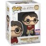 Фигурка Funko Pop Harry Potter with Flying Key (2021 Exclusive) 131