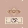 Блокнот Fantastic Beasts and Where to Find Them: Obliviate Ruled Pocket (Insights Journals)