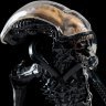 Статуетка MINI EPICS: XENOMORPH 19 cm (Weta)