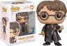 Фигурка Funko Harry Potter with Basilisk Fang and Sword фанко Гарри Поттер меч клык (Exclusive 2022 FC) 147