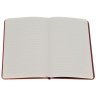 Блокнот Diablo Burning Hells Journal - Ruled (Hardcover)