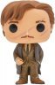 Фігурка Funko Pop Harry Potter: Remus Lupin Ремус Люпин фанко 45